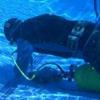 underwater crack repair
